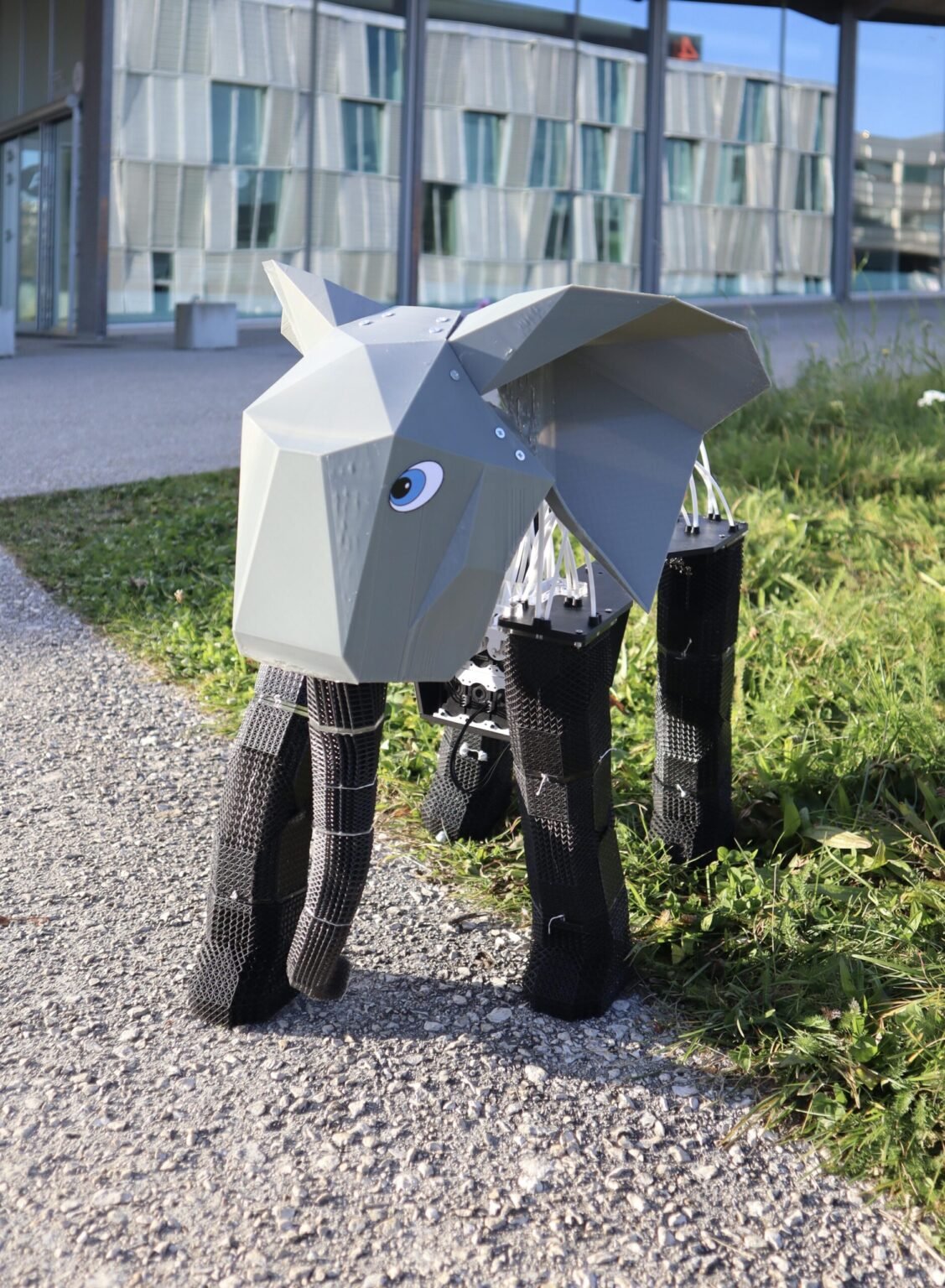 Muscle Made of Lattices: The Elephant Bot That's Changing Robotics ...